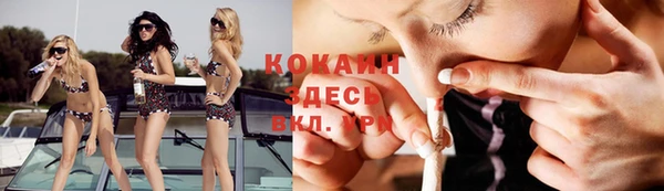 винт Абаза