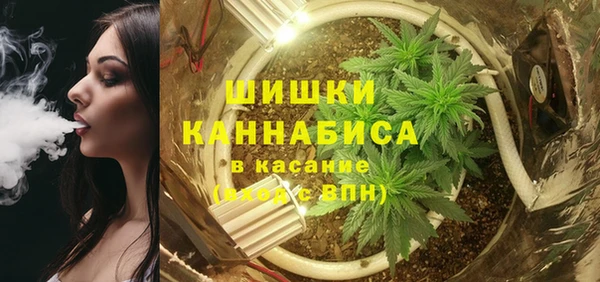 винт Абаза
